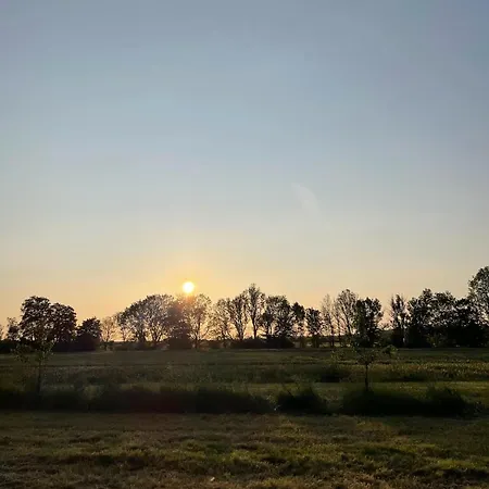 Historische Muehle Am Schloss