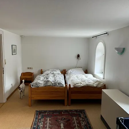 Historische Muehle Am Schloss Nyaraló Amöneburg