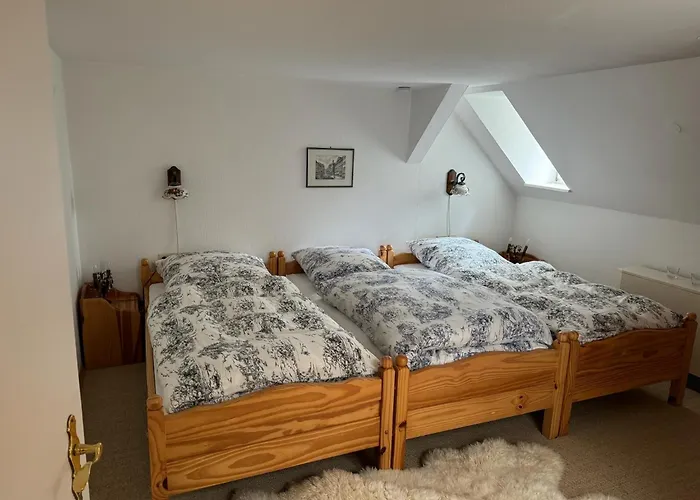 Prázdninový dům Historische Muehle Am Schloss