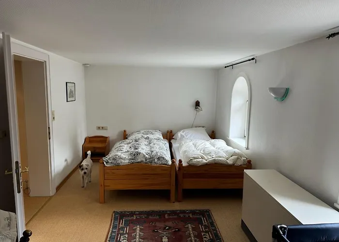 Historische Muehle Am Schloss Prázdninový dům Amöneburg