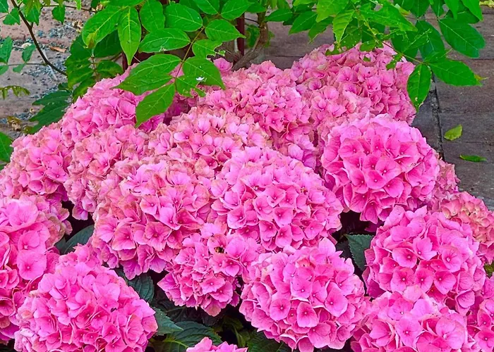 Historische Muehle Am Schloss Prázdninový dům